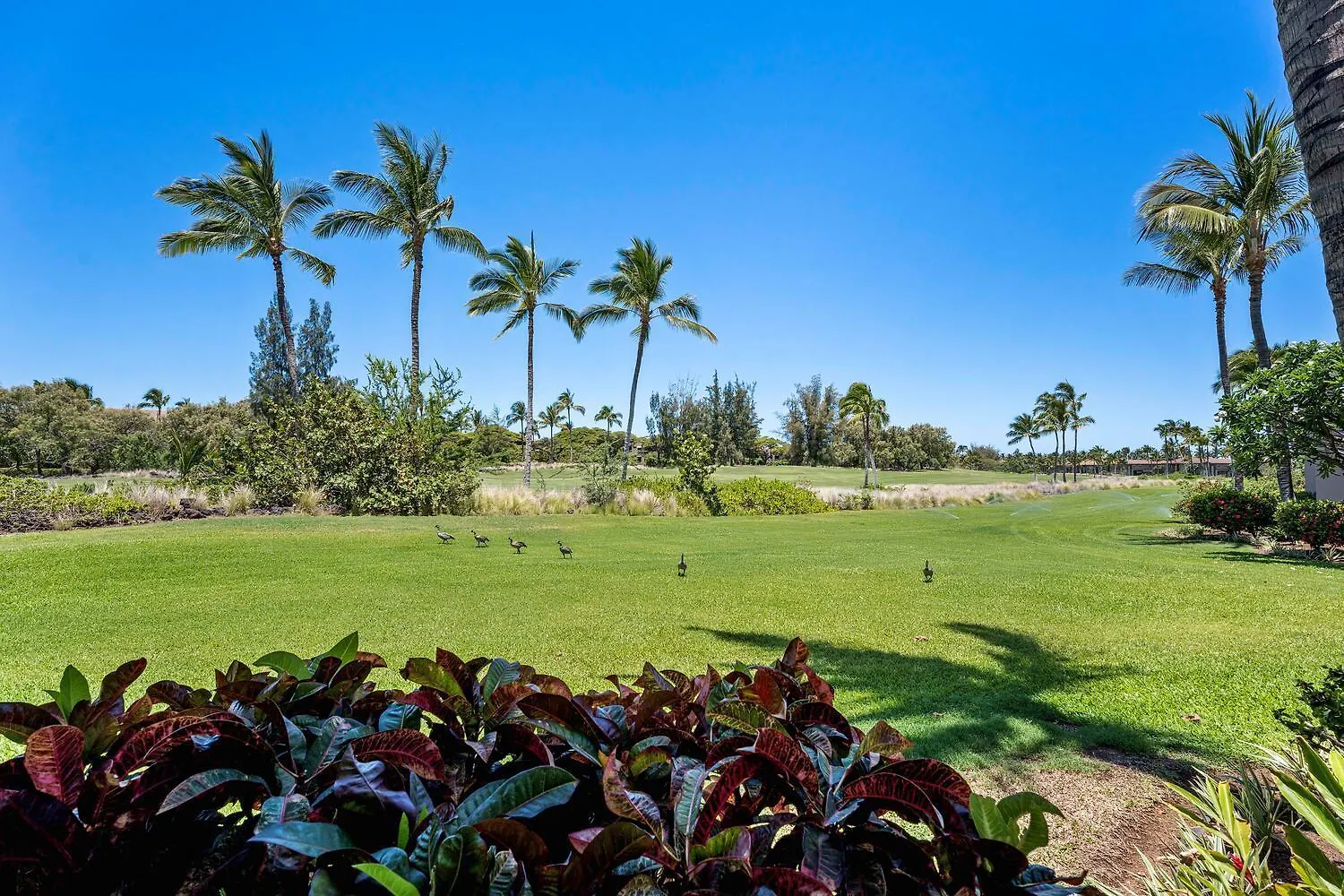 Colony Villas At Waikoloa Beach Resort 1305